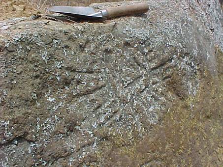 Detalle de un petroglifo en La Merced