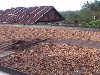 Barcaça da Fazenda Sossego.